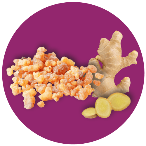 Serezin-ingredient-Image-v45-flipped